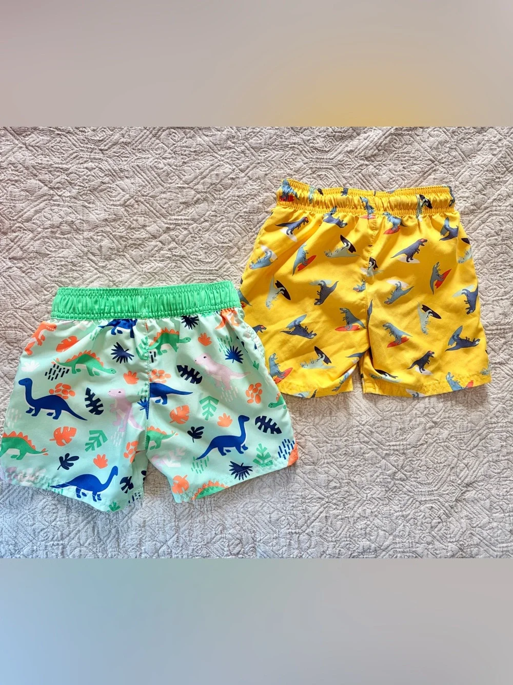 Cat & Jack 4T Dino swim trunks bundle